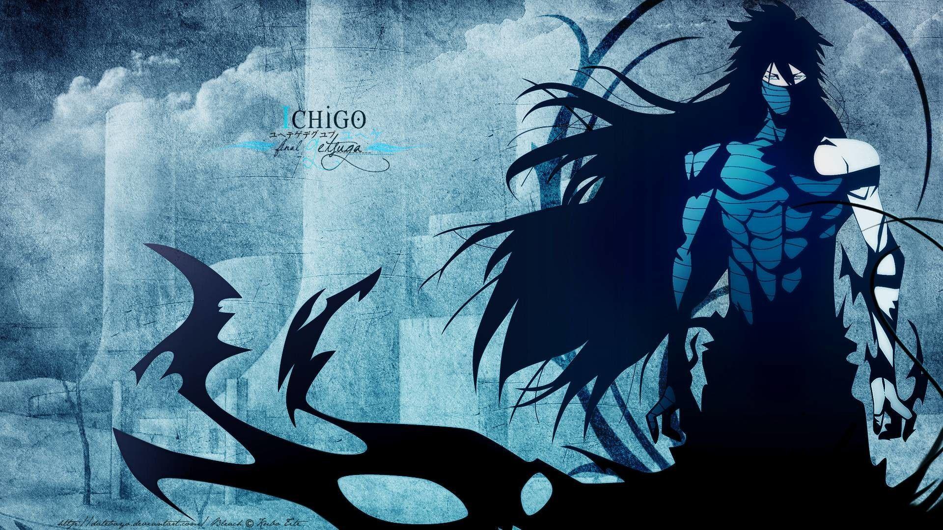 Bleach True Shikai & The Two Zangetsus Full HD Wallpaper #649
